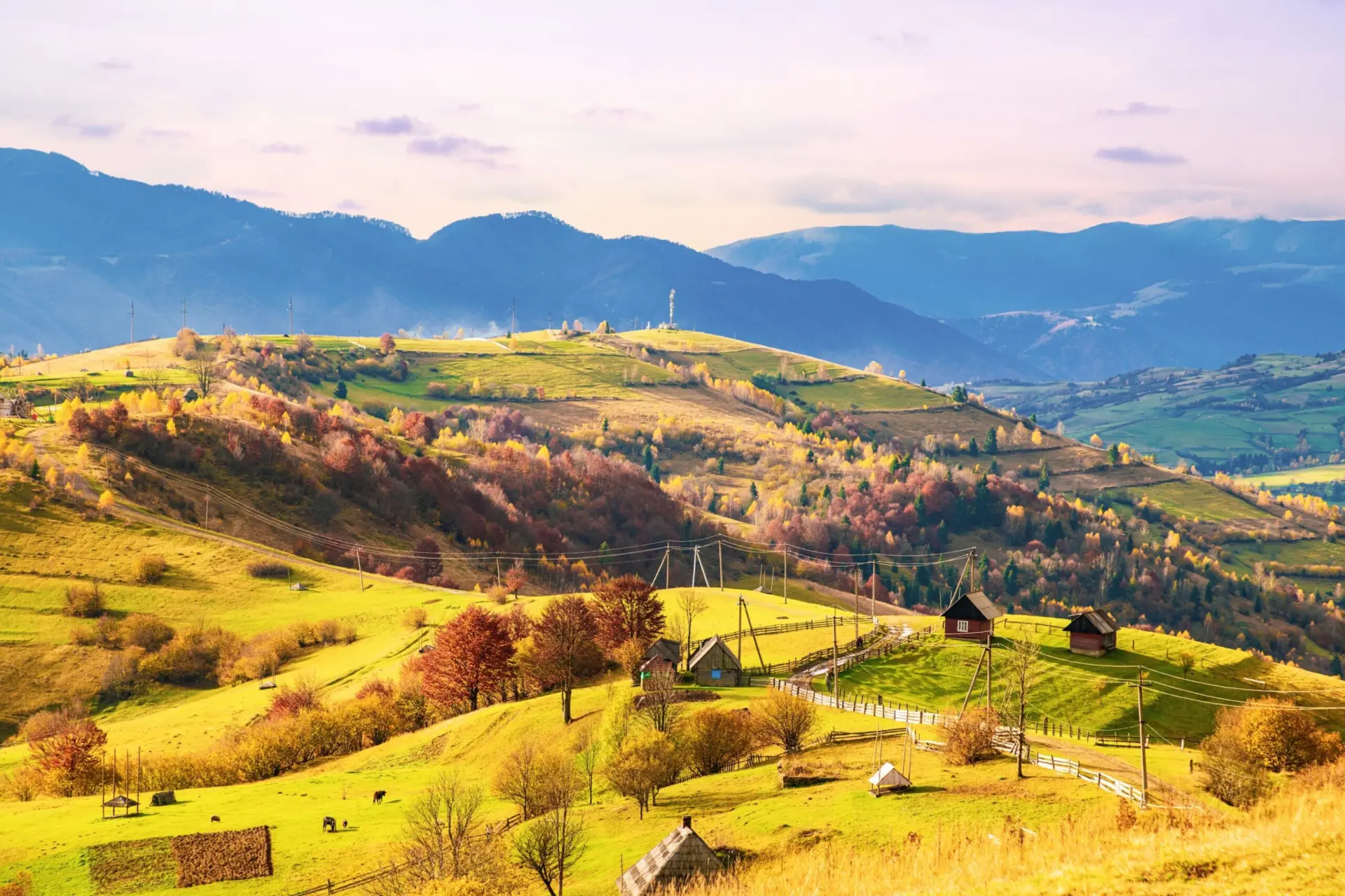 A path along the ridge of a hill with a large puddle and an old fence against the backdrop of a colorful forest