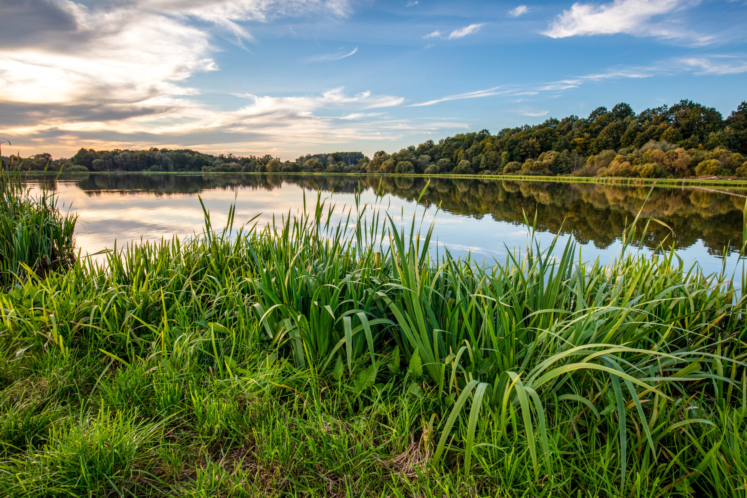 Lake At Sunset. Countryside Rural Scenery In Poland